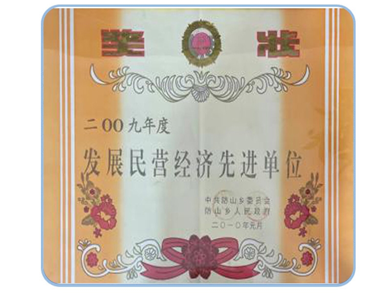發(fā)展民營經(jīng)濟先進單位